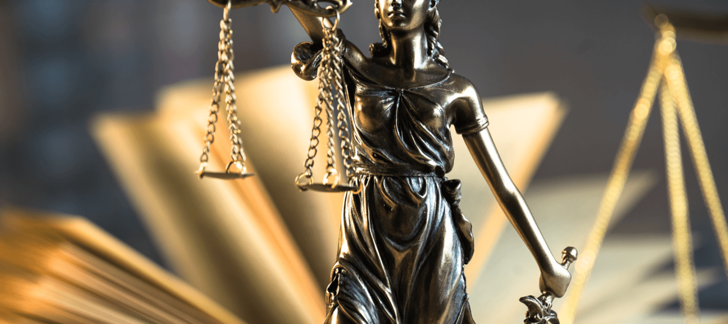 judicialreview.png
